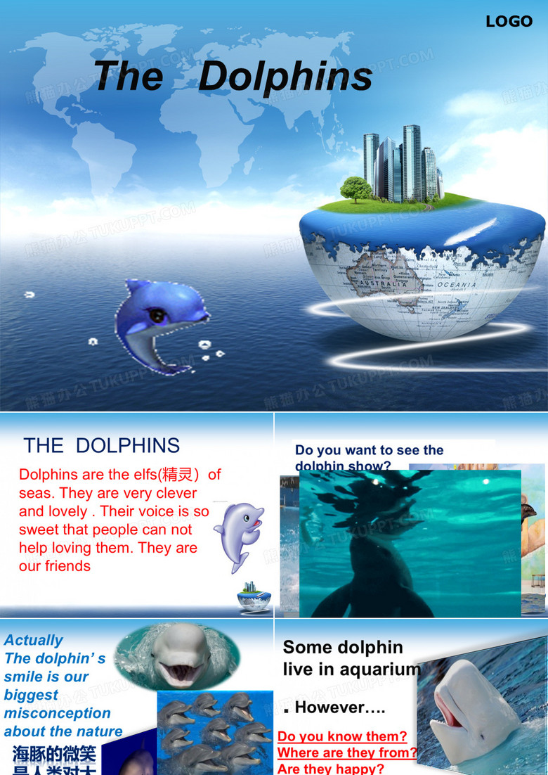 海豚湾PPT
