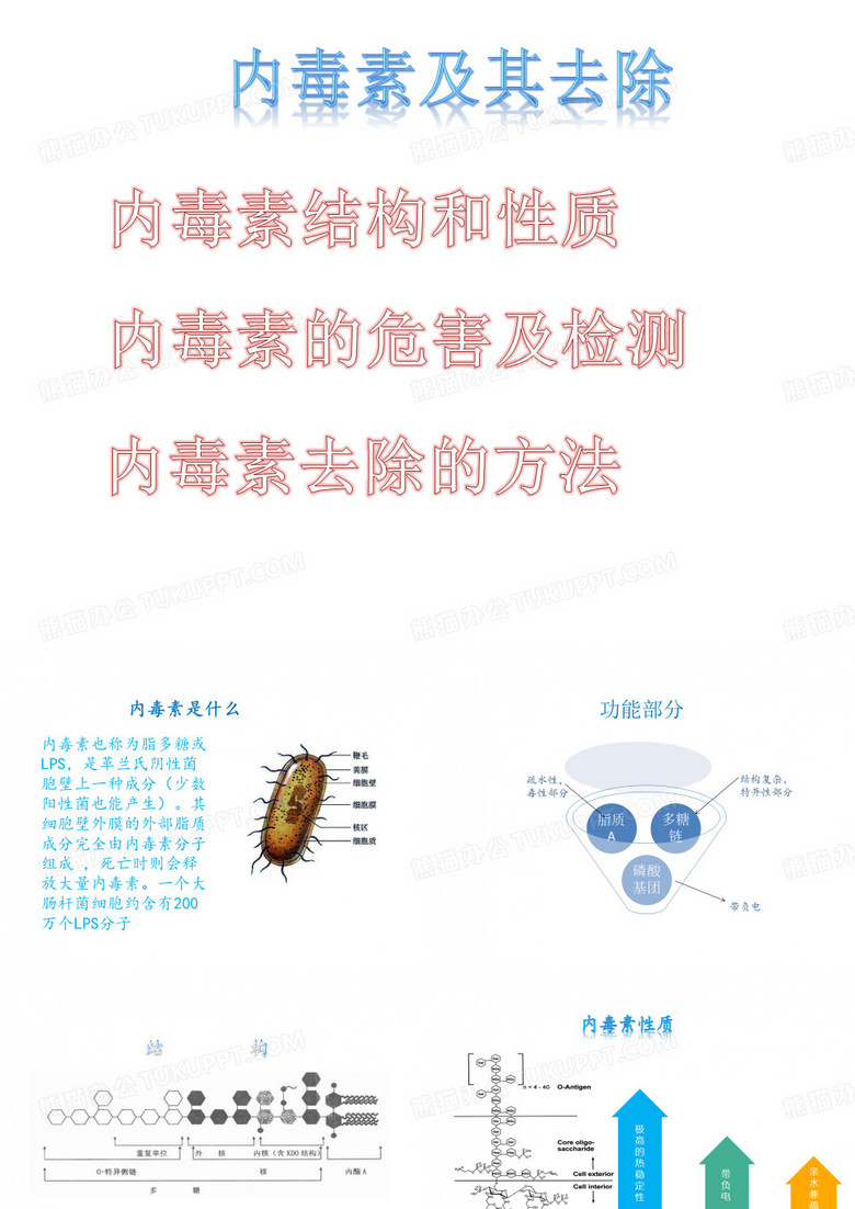 内毒素及其去除