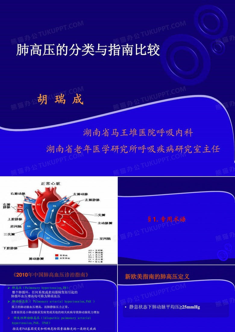 《肺高压的分类》PPT课件