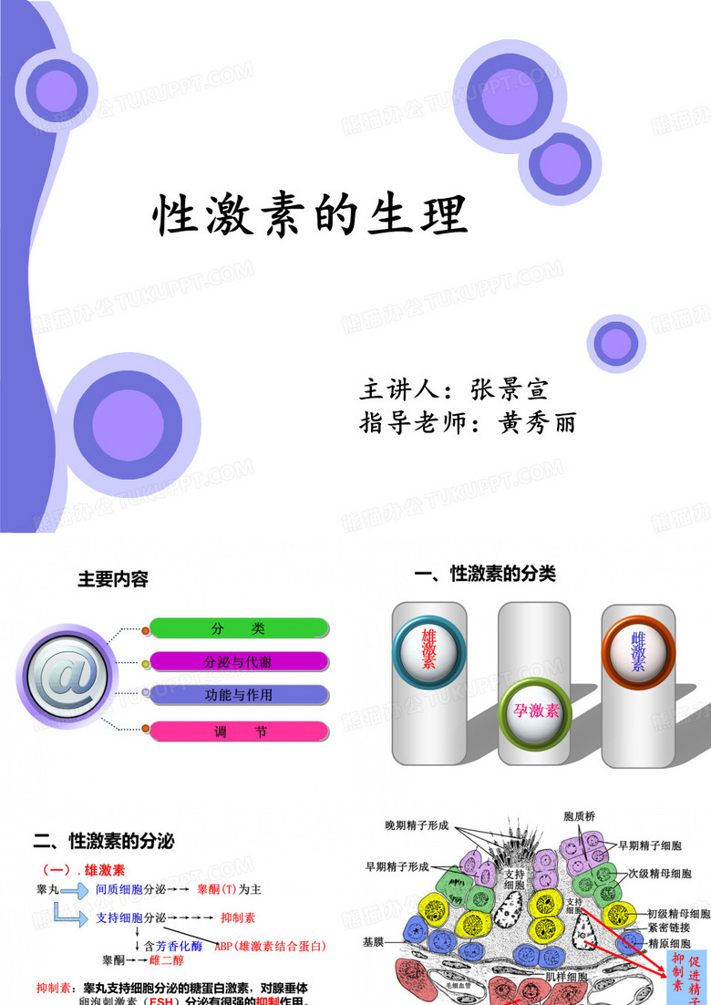 性激素