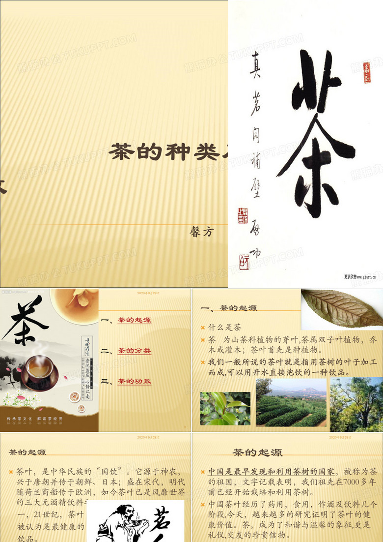 茶种类及功效PPT课件