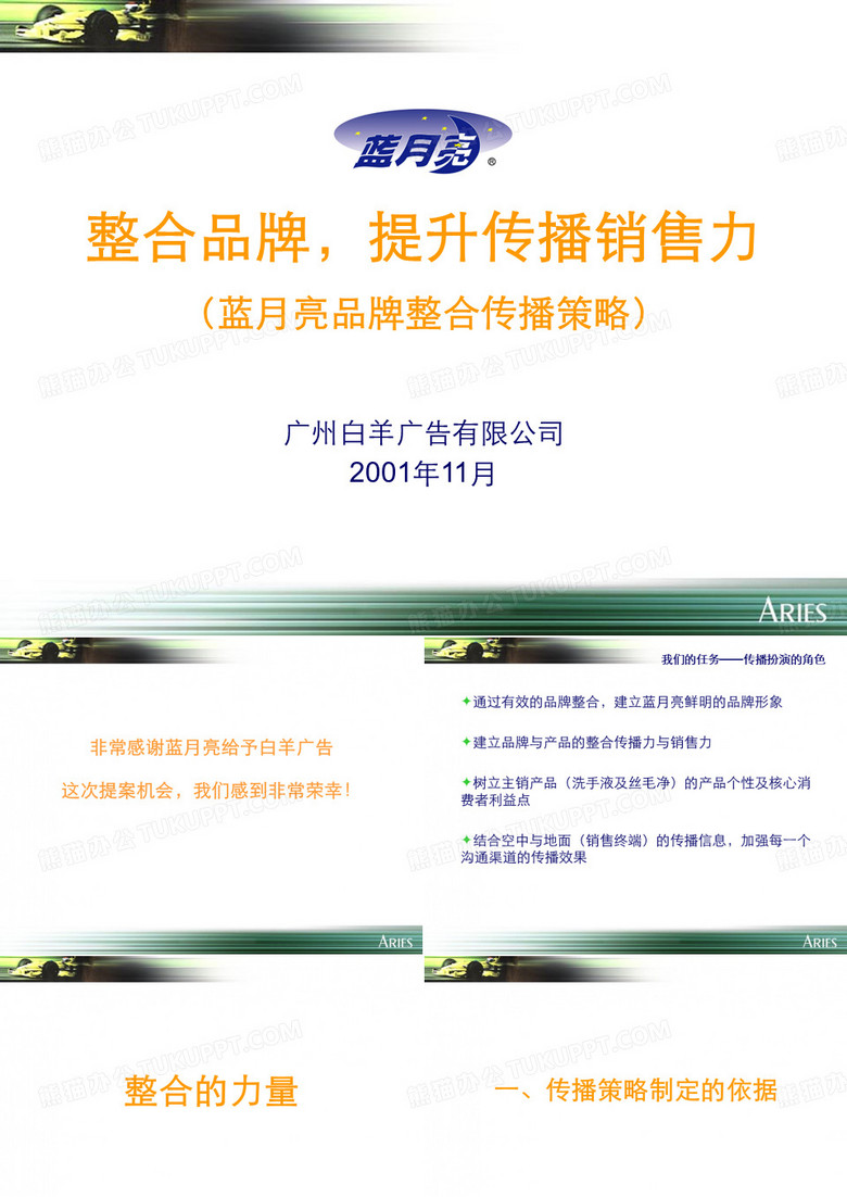 蓝月亮品牌策划方案