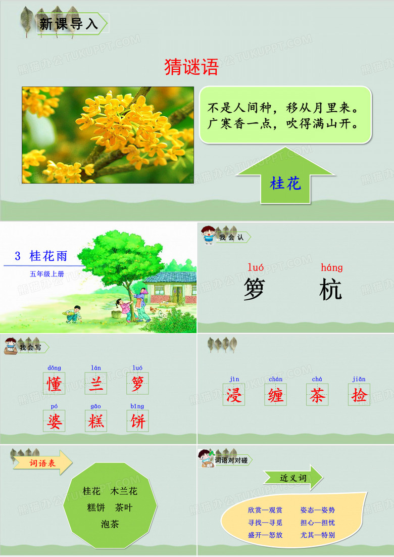 五年级上册语文课件-3 桂花雨人教部编版