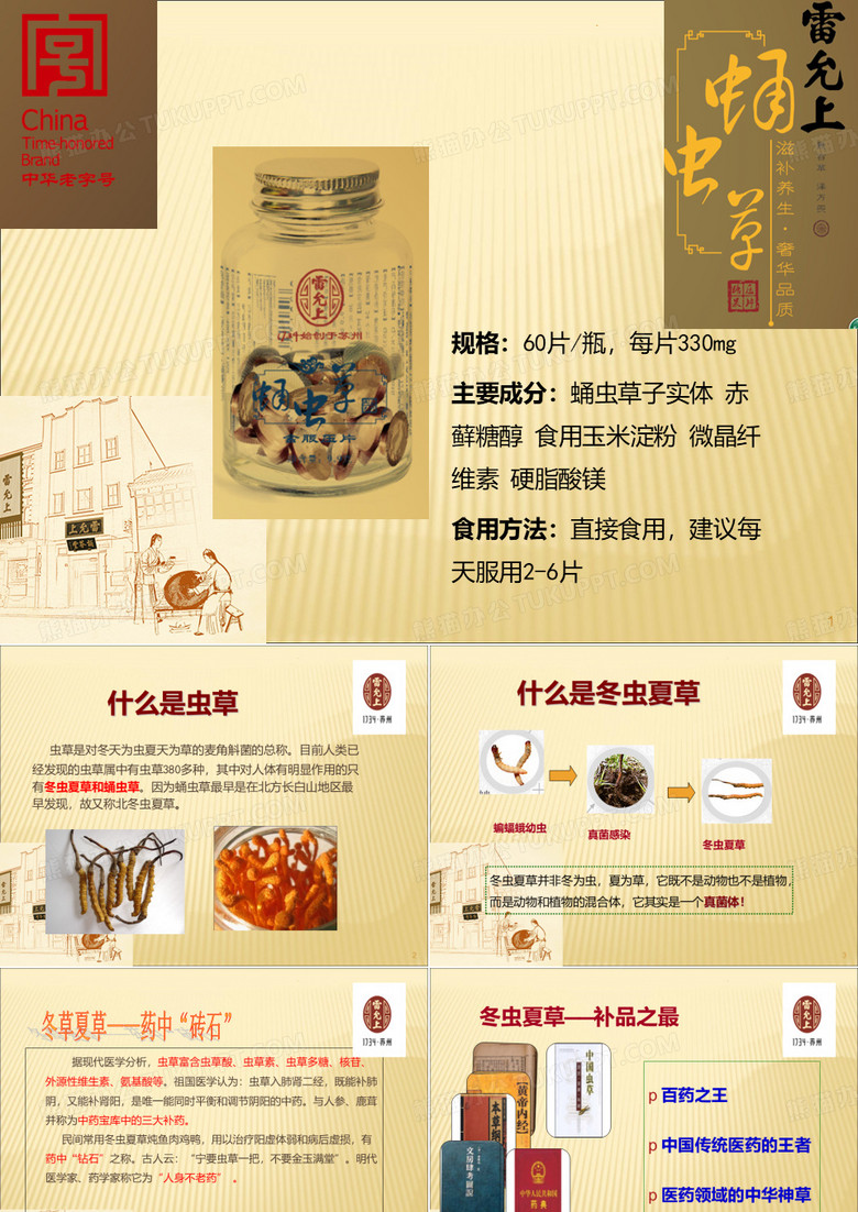 蛹虫草含片PPT课件