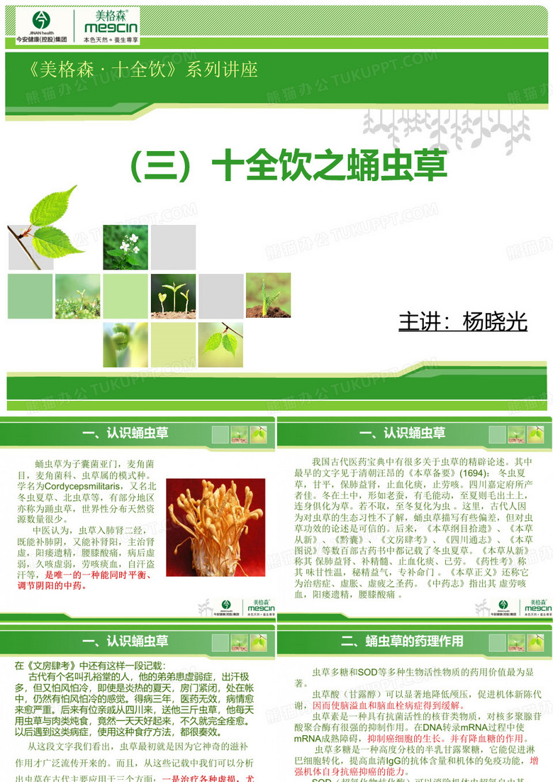 十全饮之蛹虫草