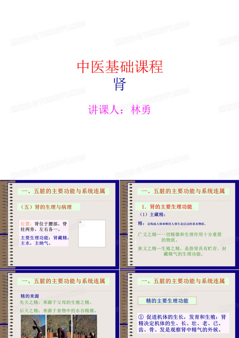 中医基础课程肾