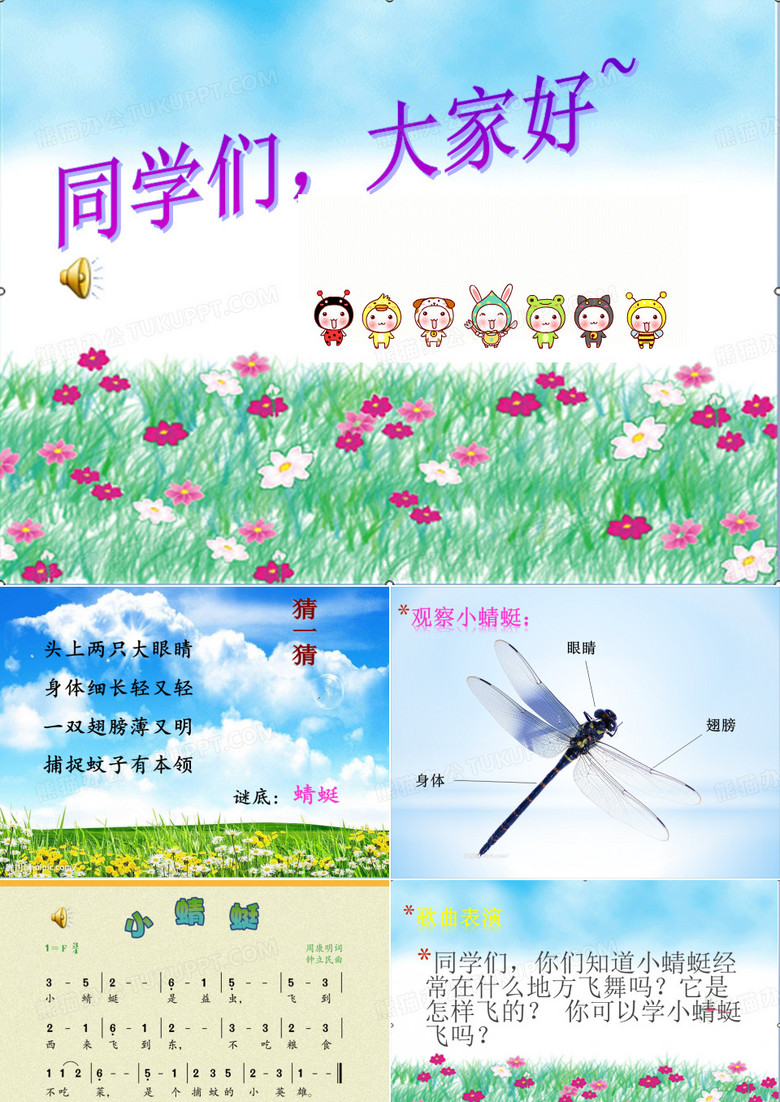 《小蜻蜓》课件