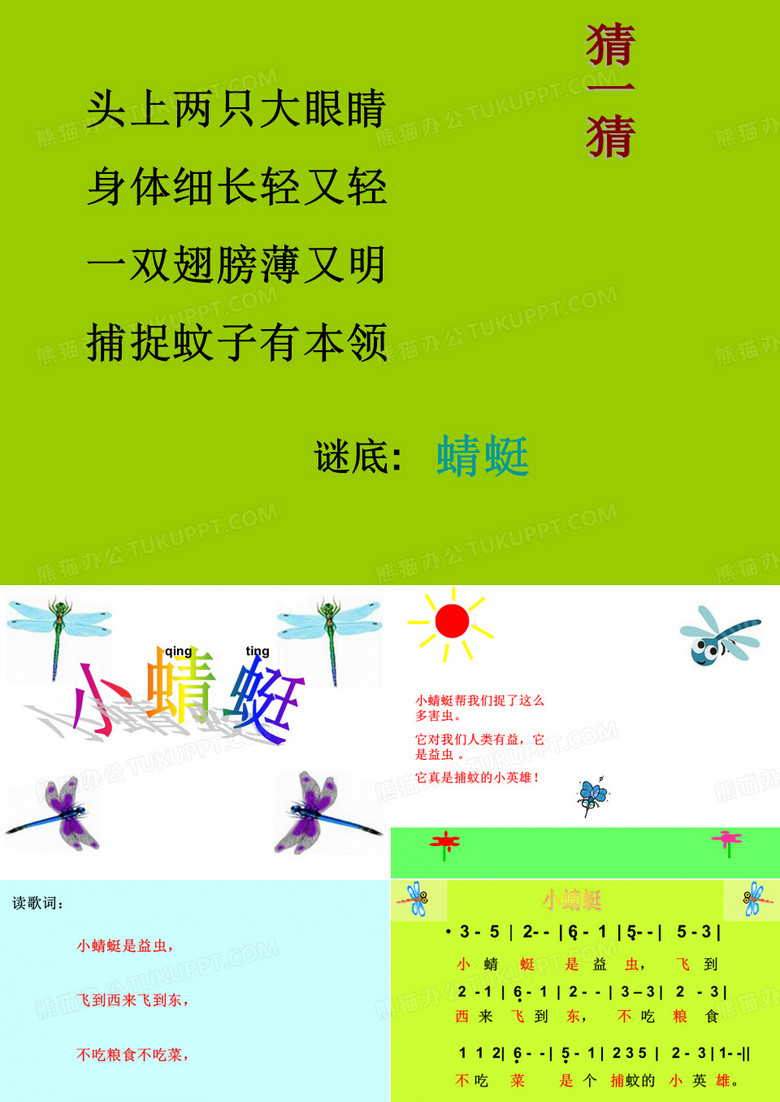 《小蜻蜓》课件