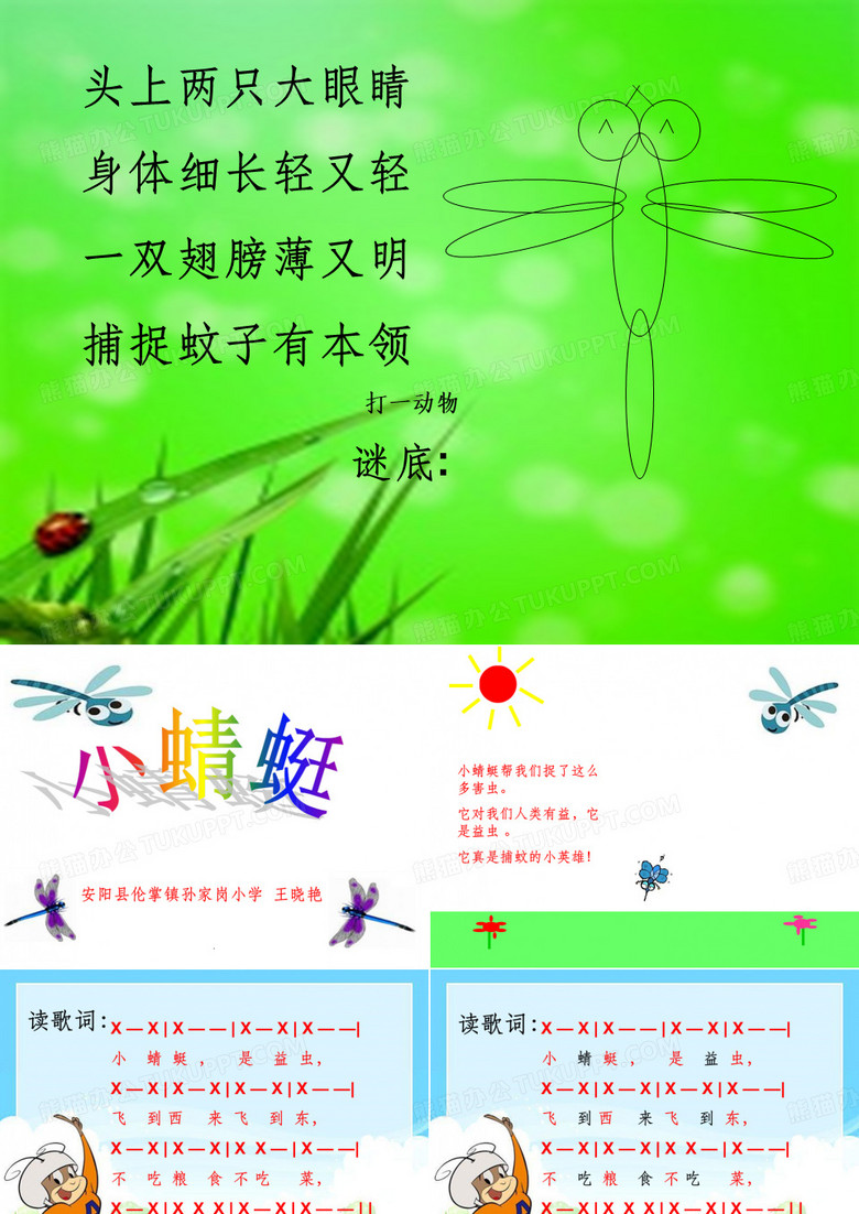 《小蜻蜓》PPT课件