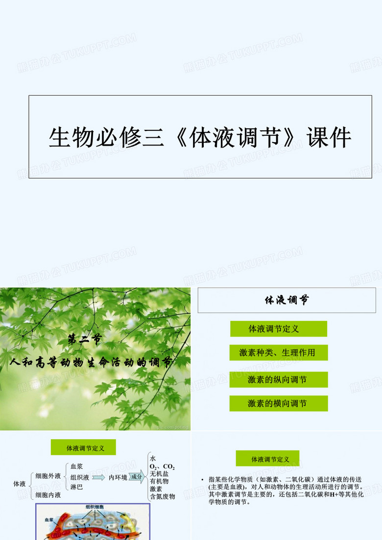 体液调节 PPT