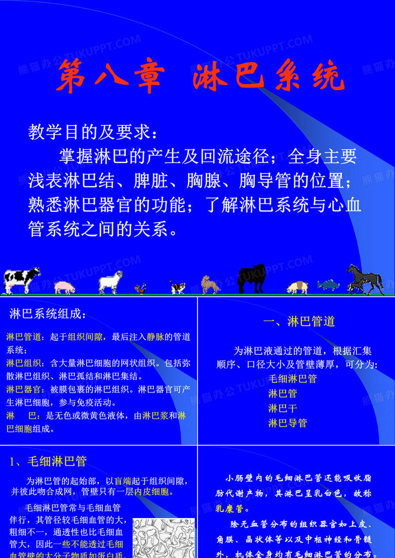 家畜淋巴系统