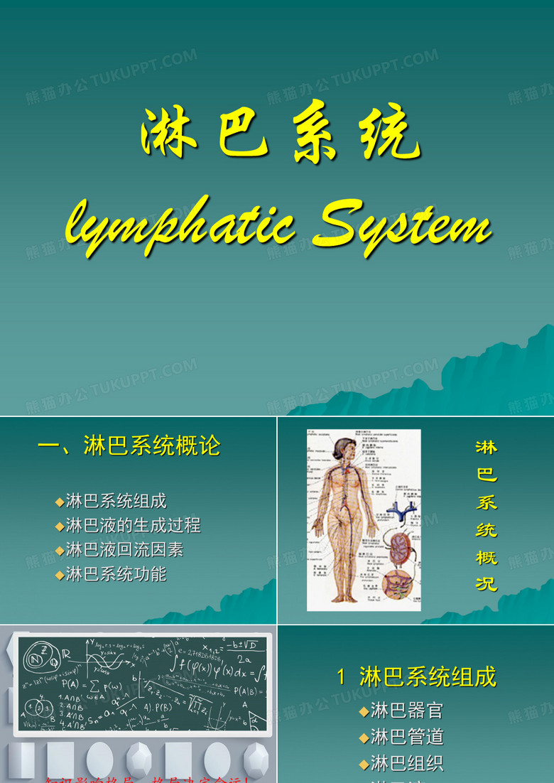 淋巴系统 PPT