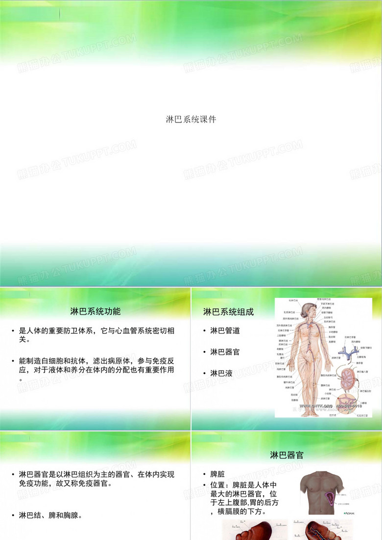 淋巴系统课件