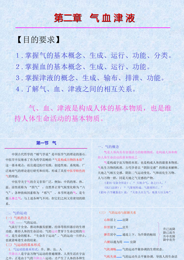 气血津液课件