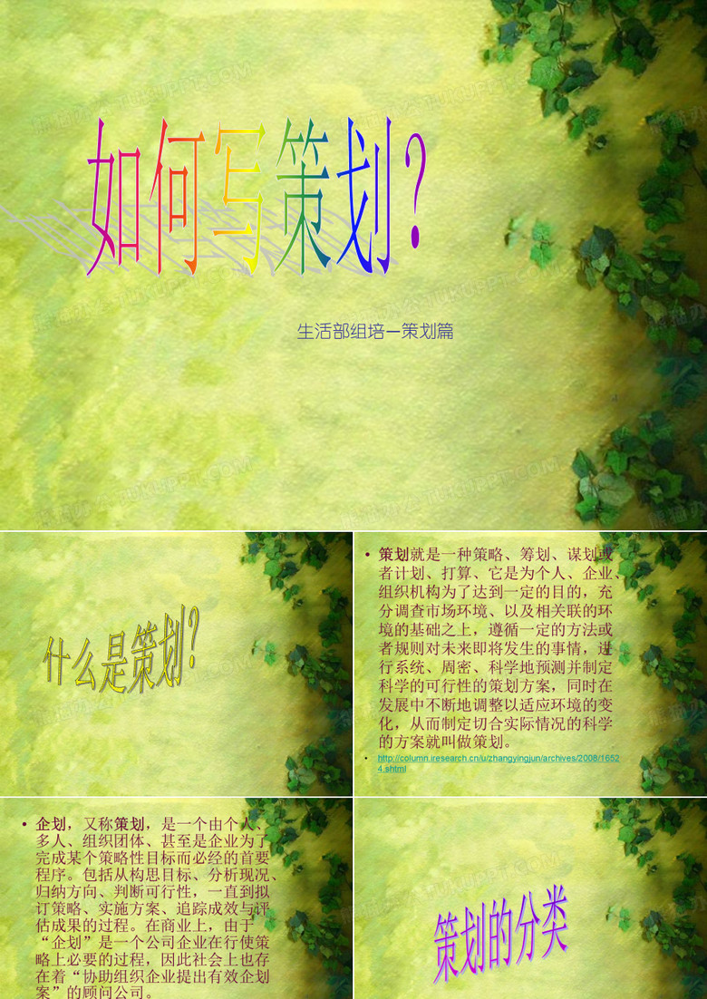 组培 策划