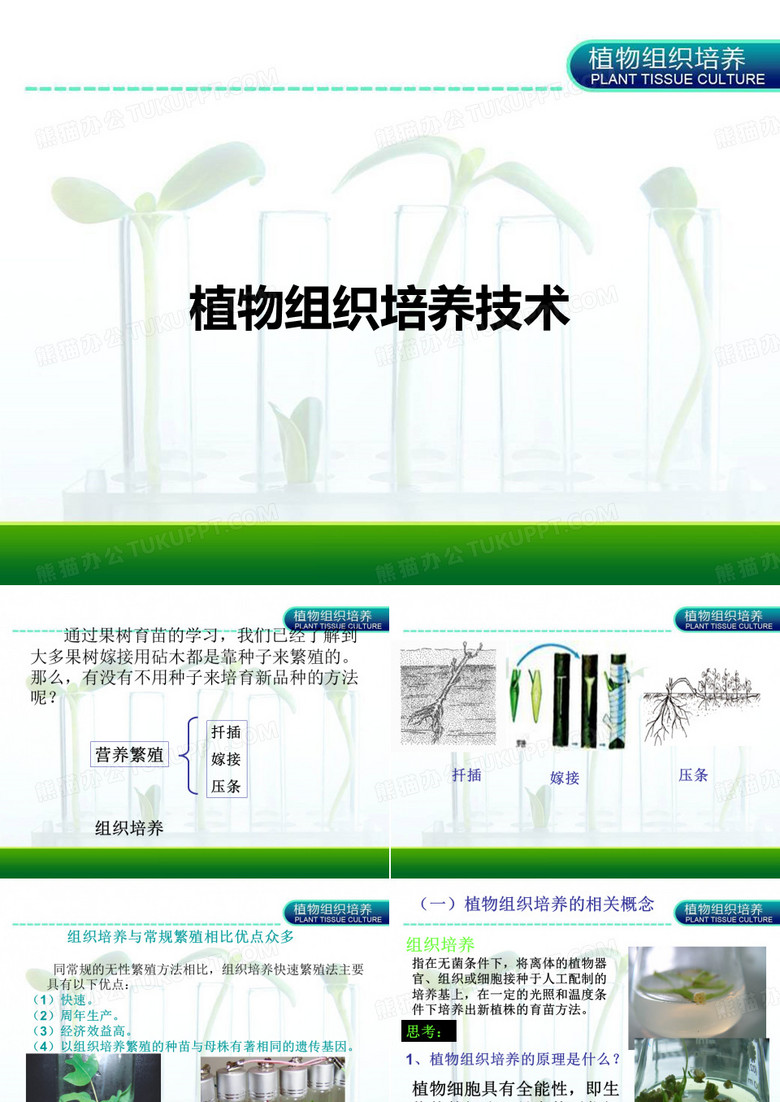 植物组培