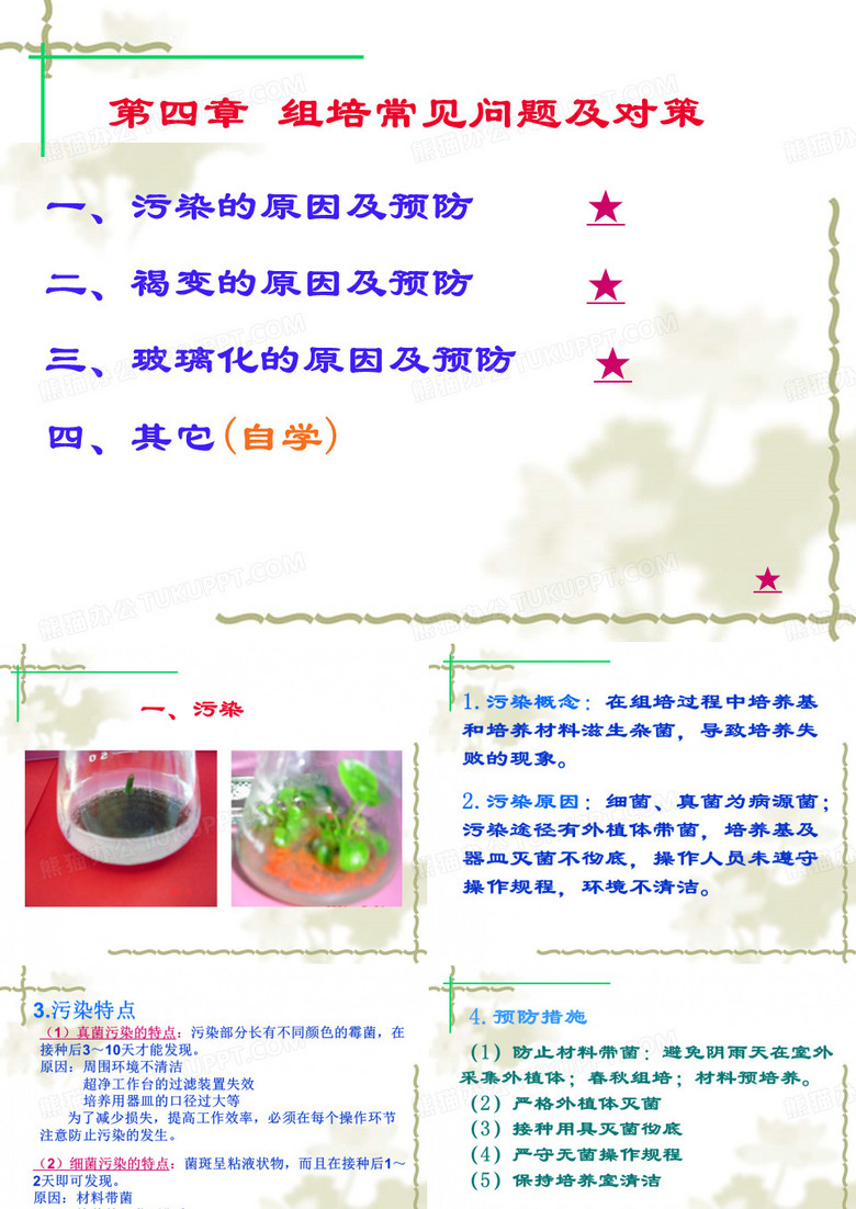 组培常见问题