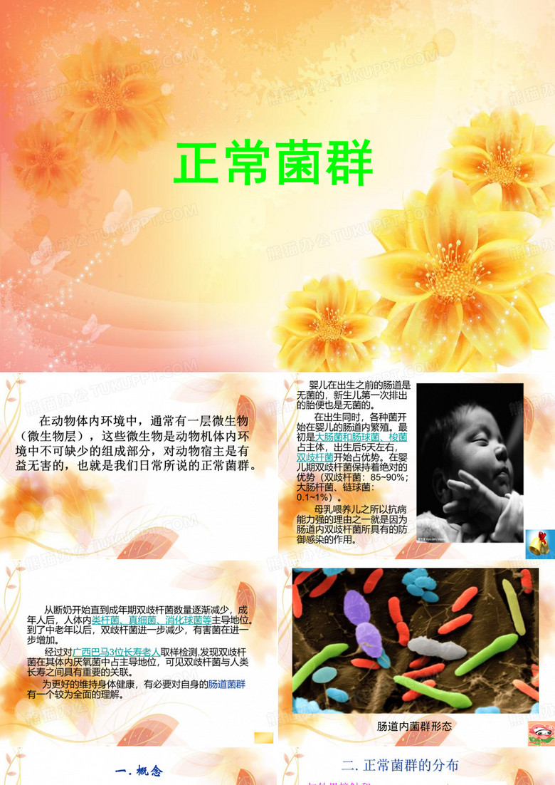 正常菌群——肠道菌群