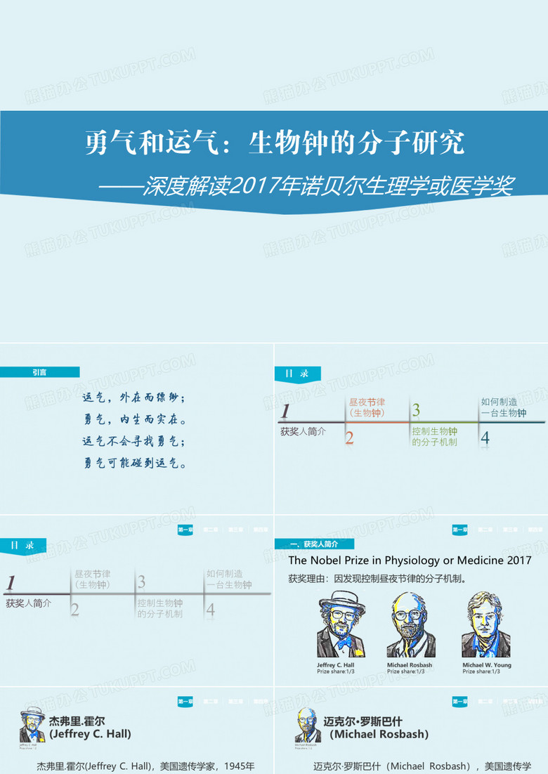 生物钟基因图解