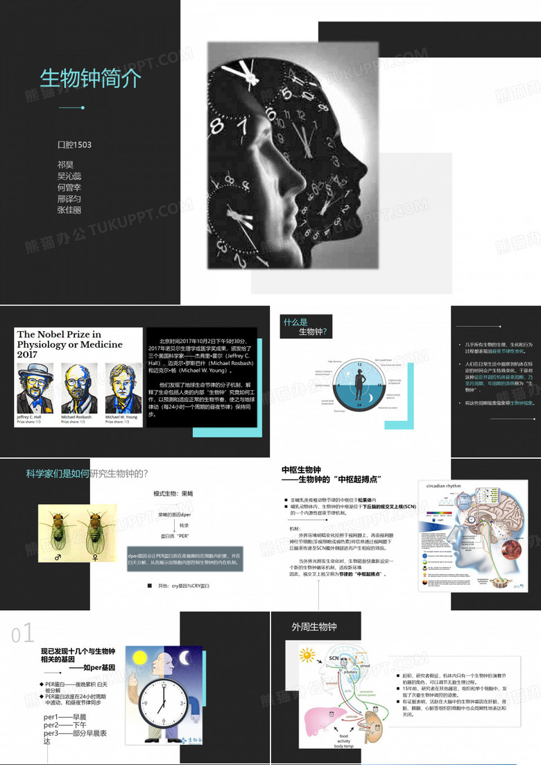 生物钟简介修改版