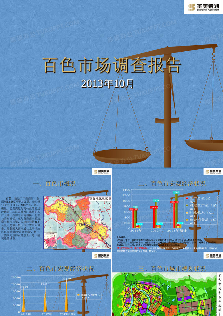百色市场调查报告