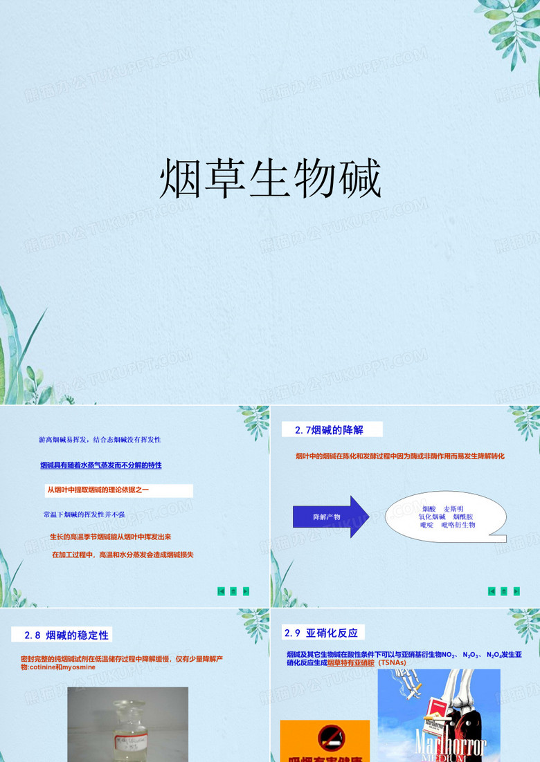 烟草生物碱