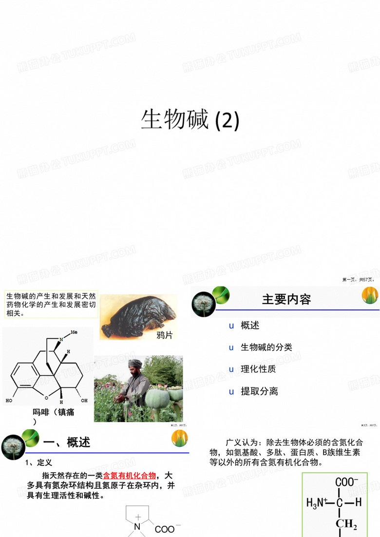 生物碱 (2)