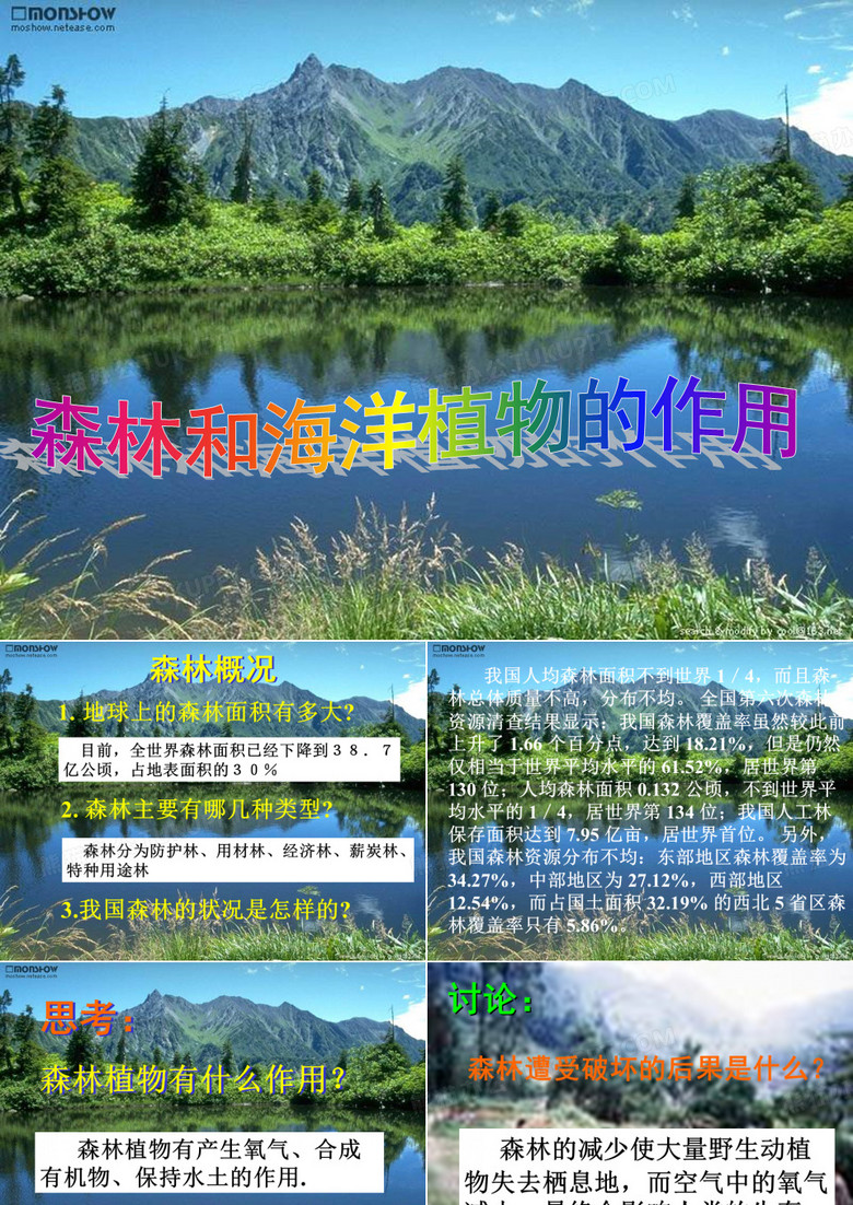 森林和海洋植物的作用,自然课