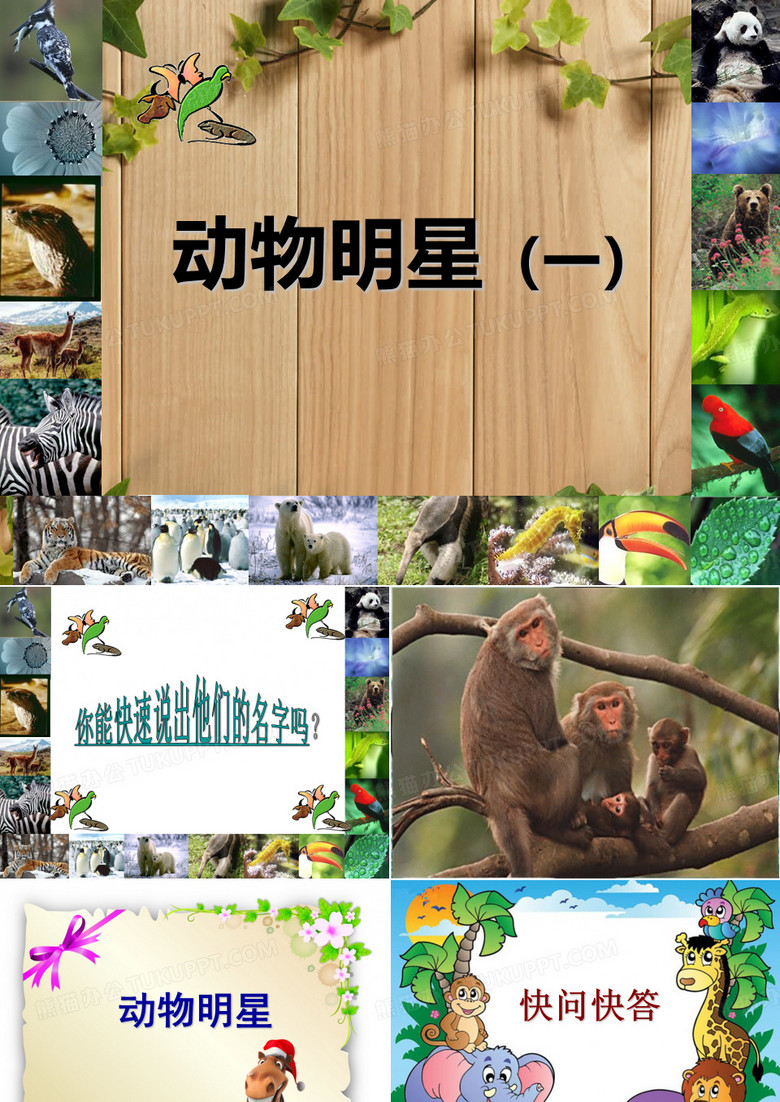 动物明星