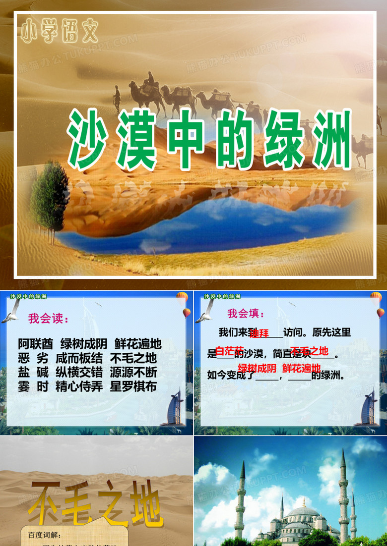 沙漠中的绿洲 (2)