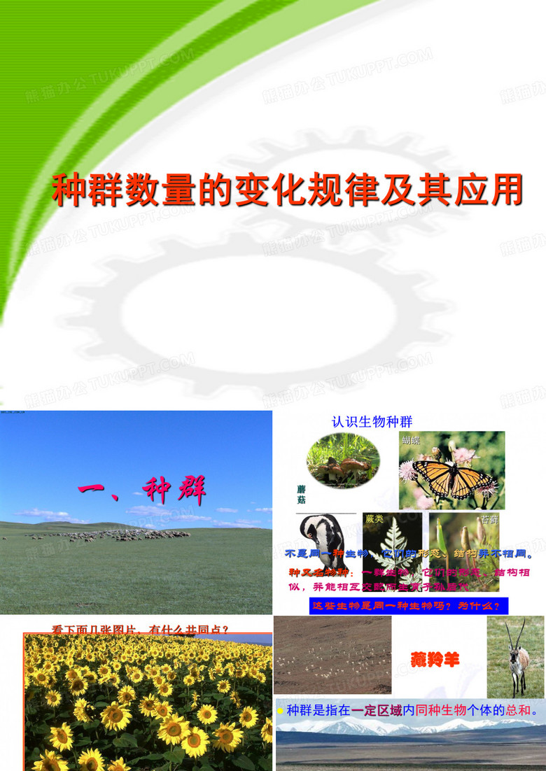 种群数量的变化