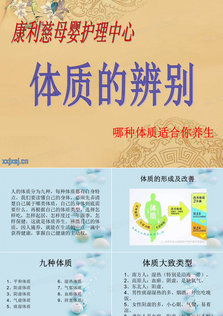 九种体质