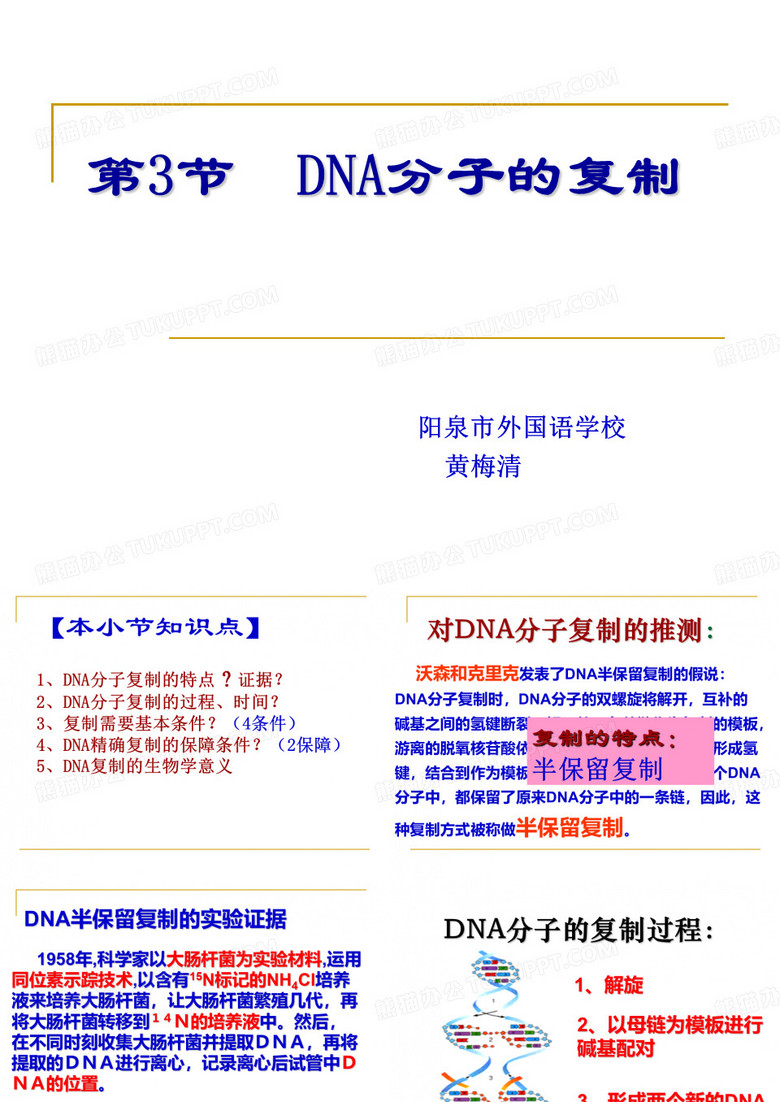DNA分子的复制