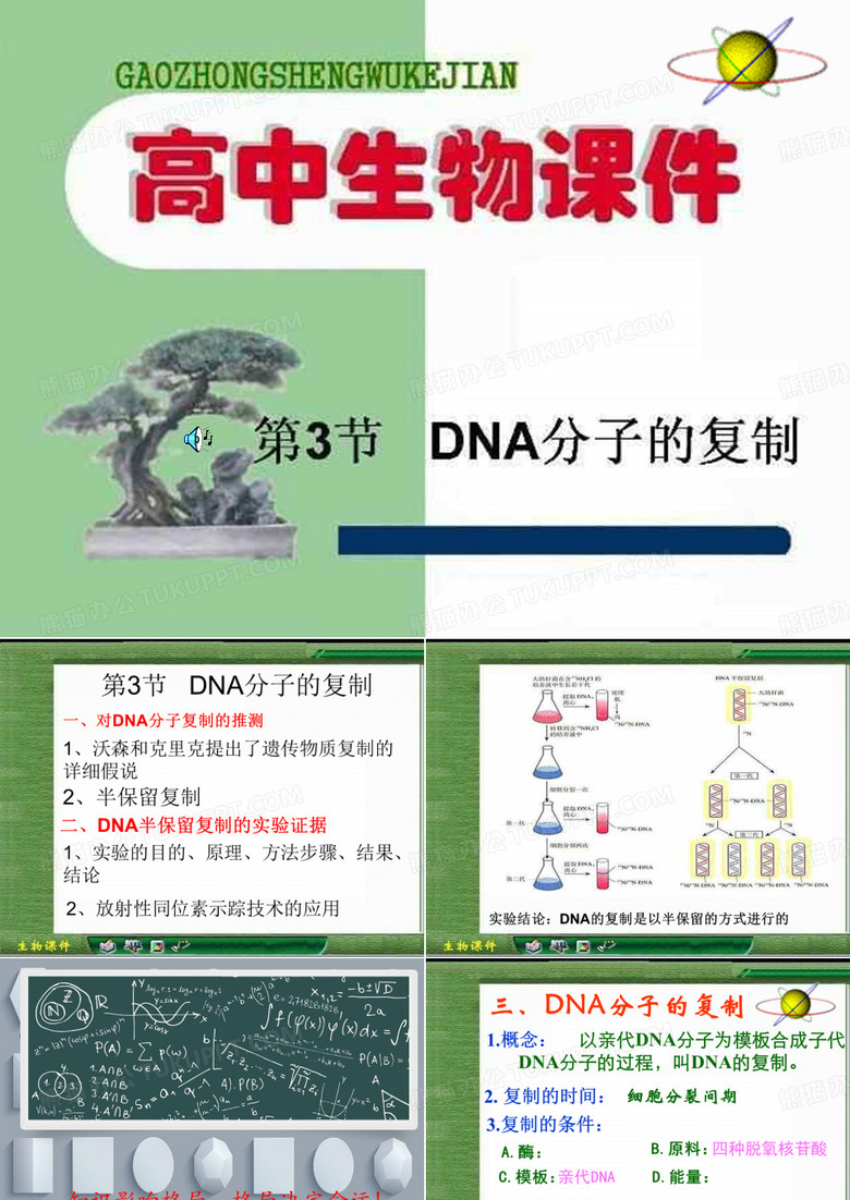 DNA分子的复制