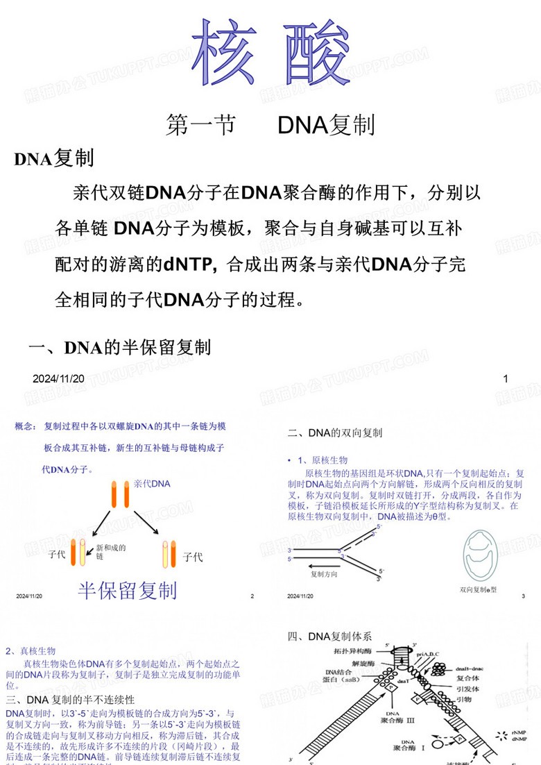 分子生物学 。DNA复制