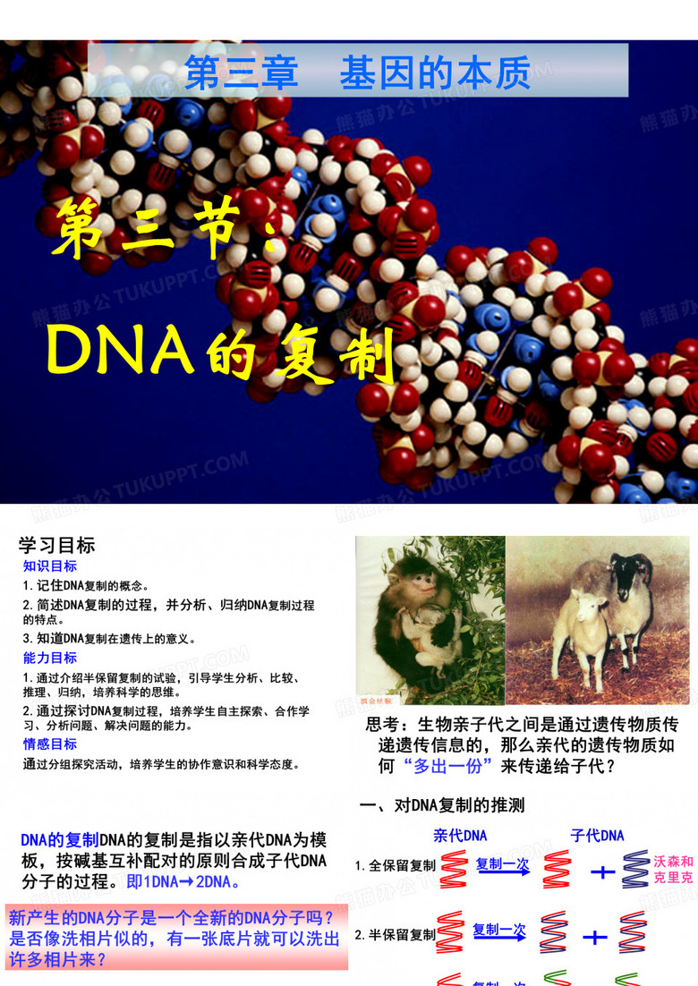 DNA分子的复制我