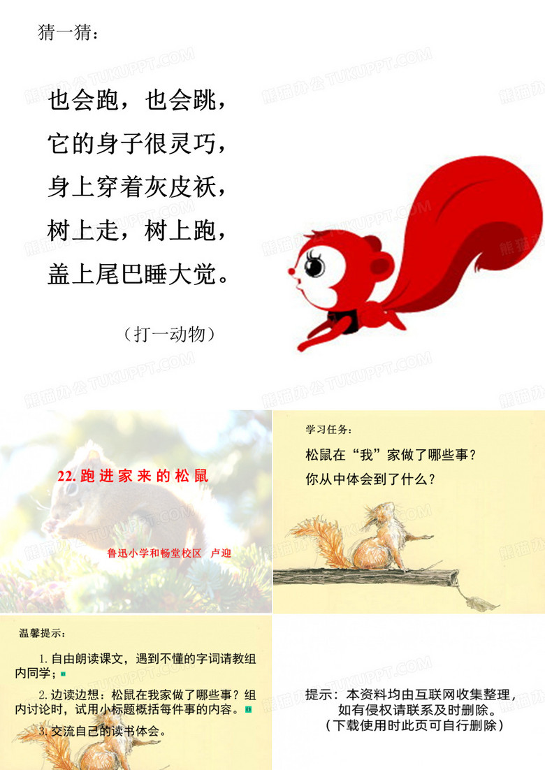 跑进家里的松鼠
