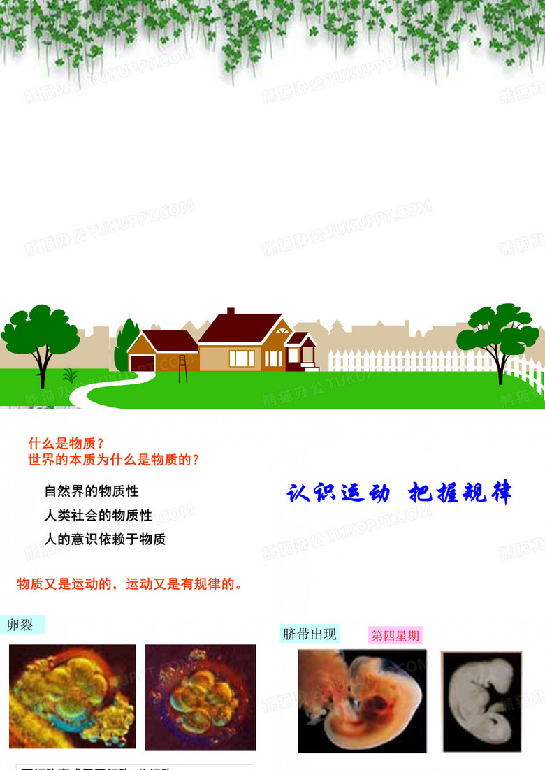 认识运动  把握规律