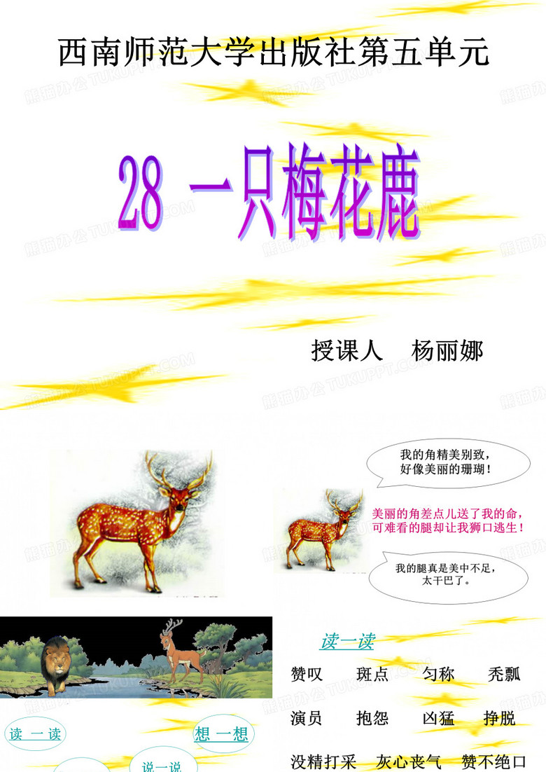 一只梅花鹿