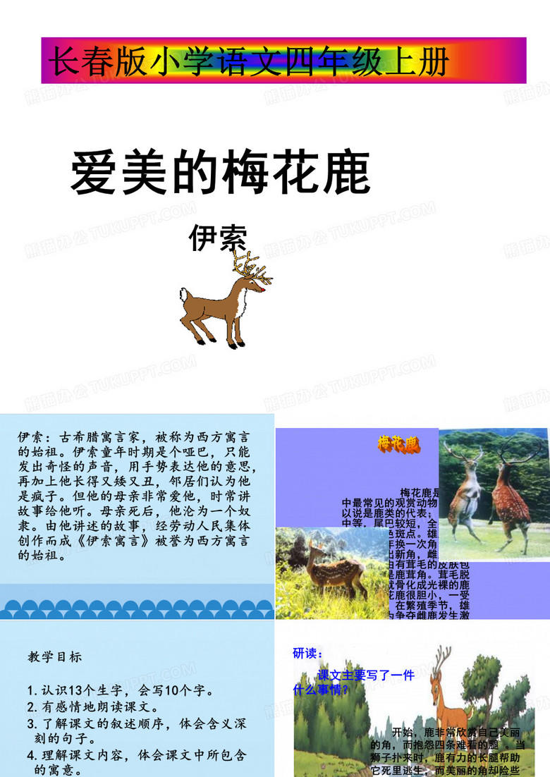 爱美的梅花鹿
