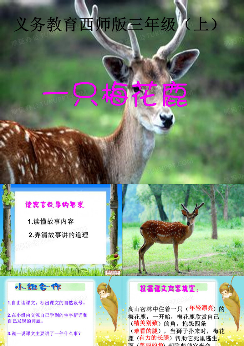 一只梅花鹿