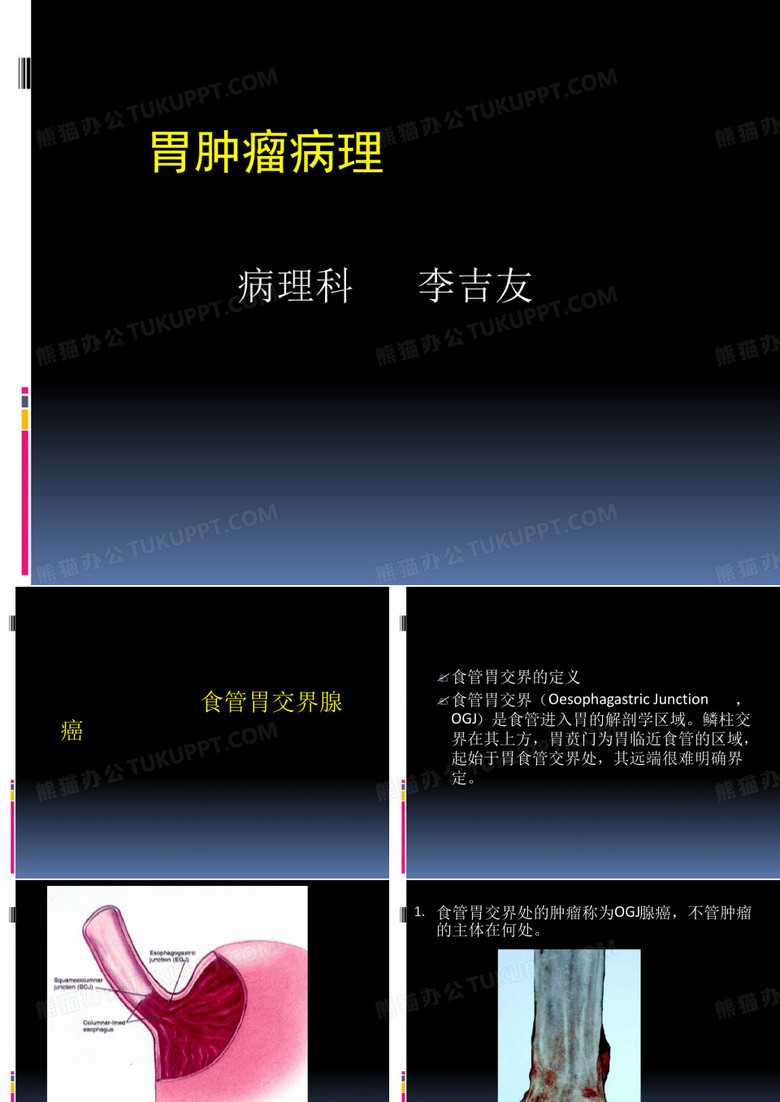 胃肠道病理