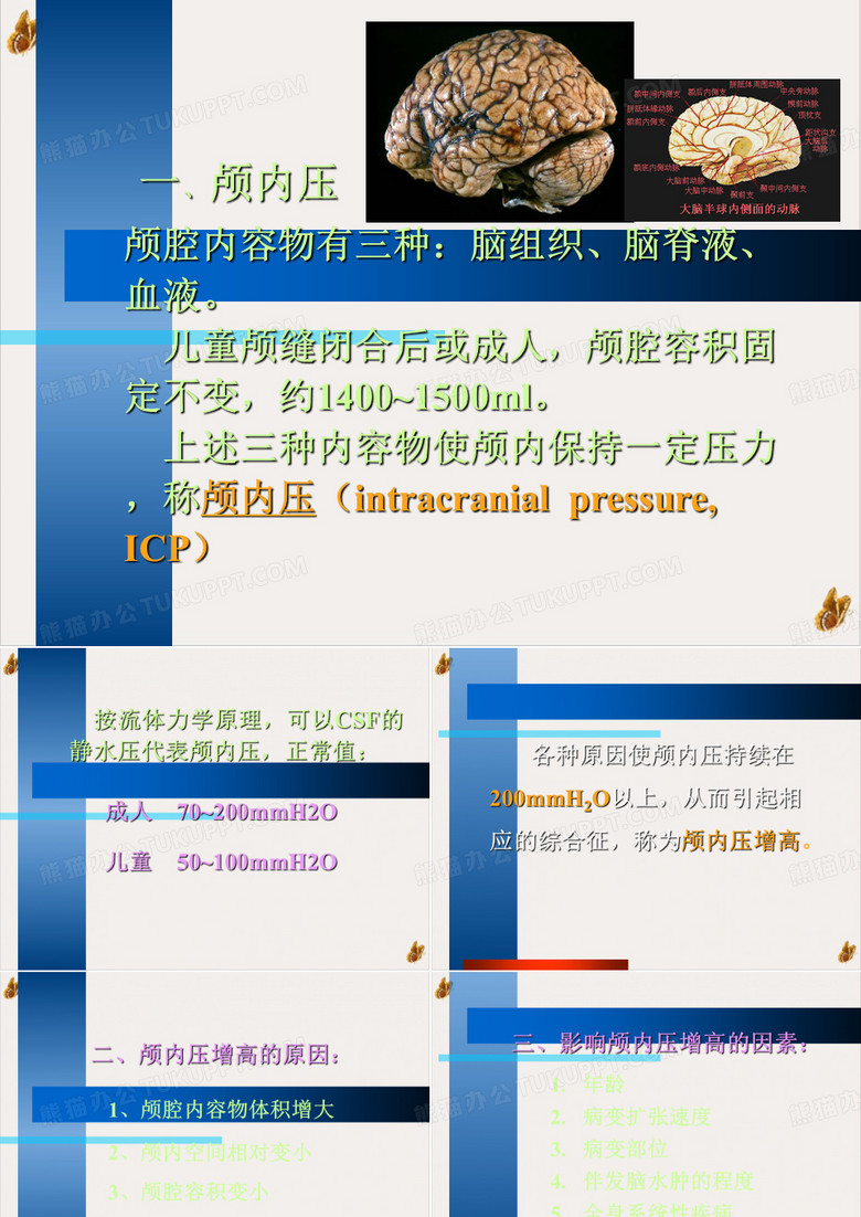 颅高压及颅外伤ppt下载