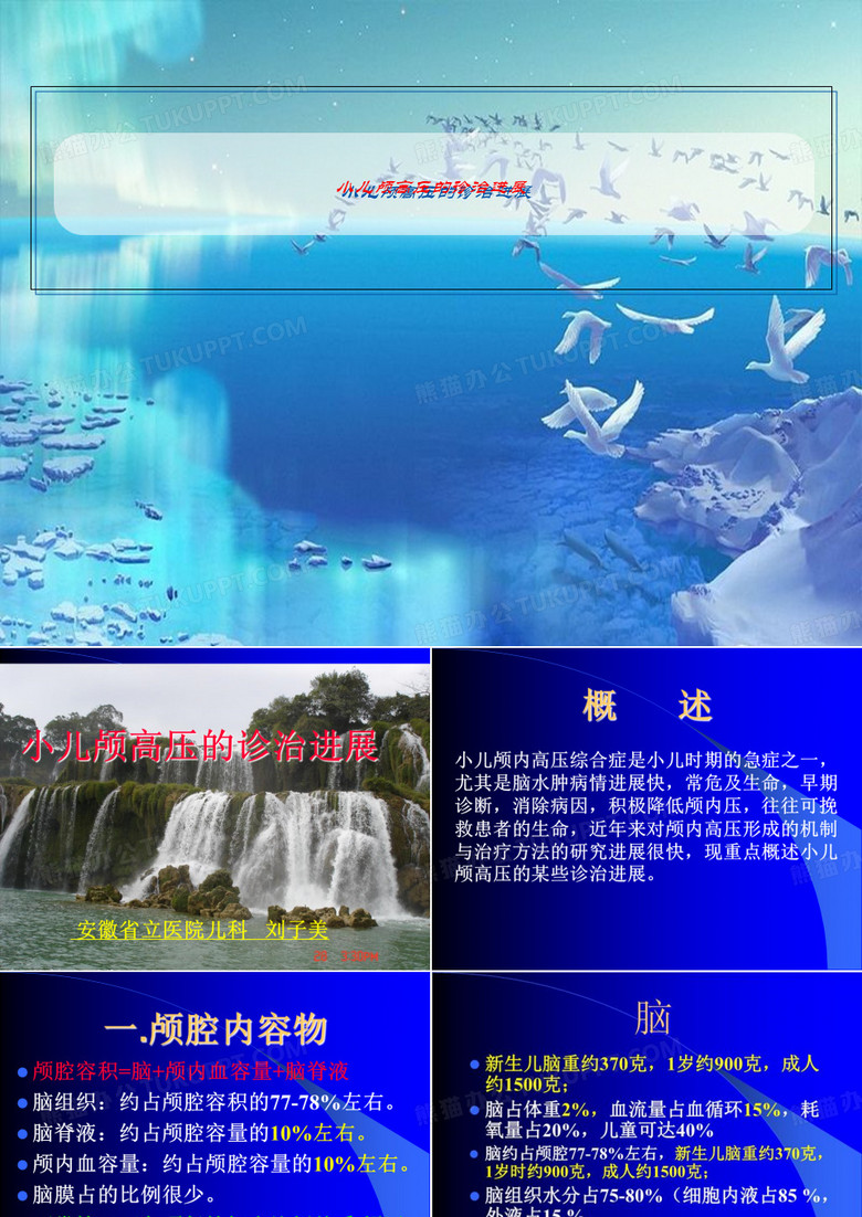 小儿颅高压的诊治进展