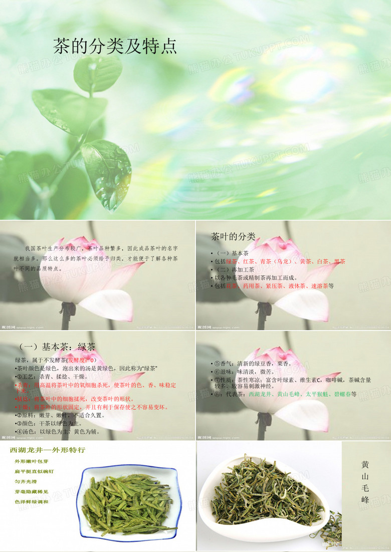 茶的分类及特点ppt课件