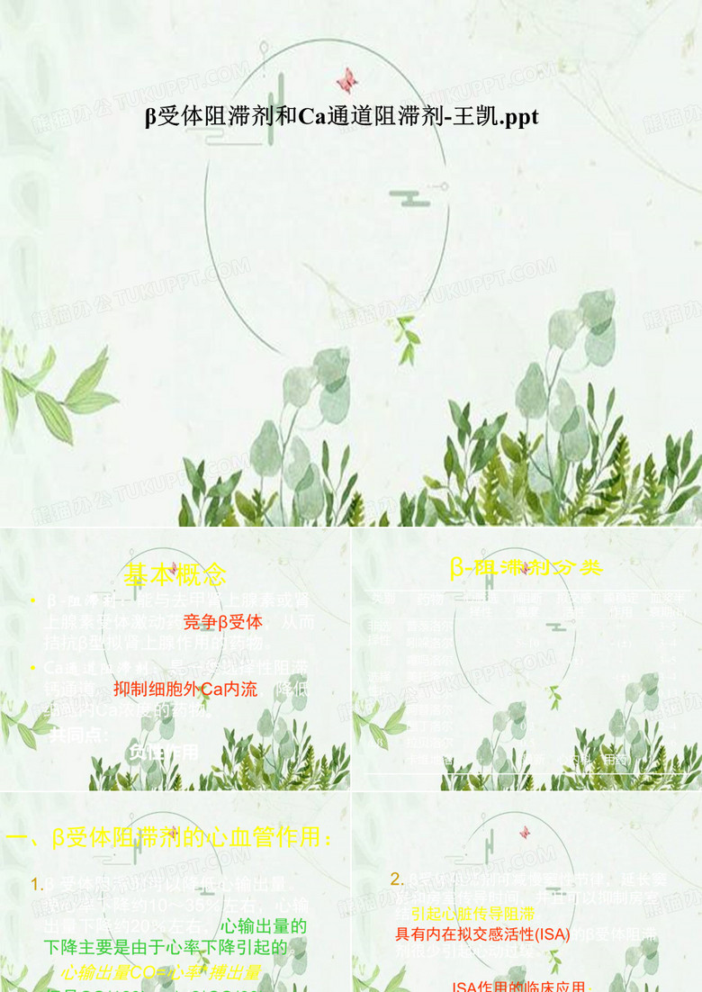 β受体阻滞剂和Ca通道阻滞剂-王凯