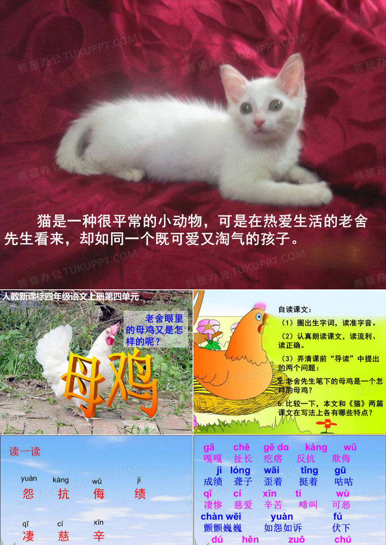 《母鸡》教学课件