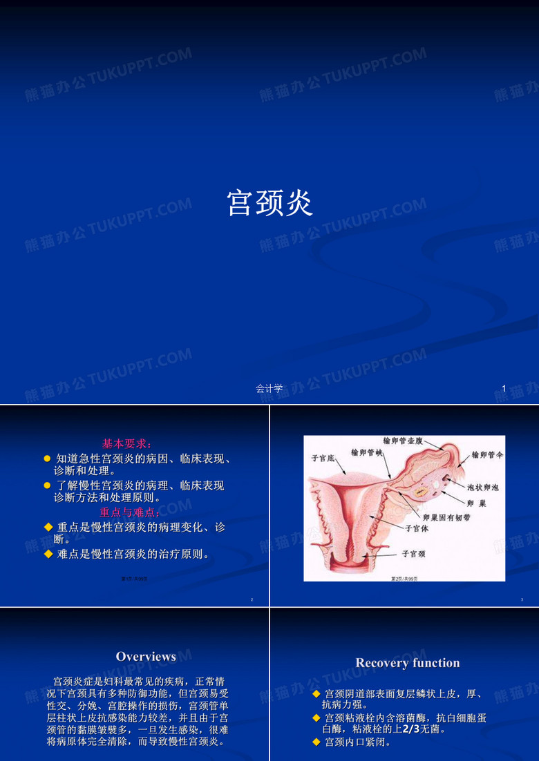 宫颈炎PPT教案