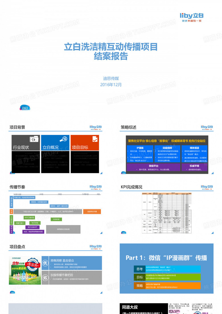 2016 立白洗洁精互动传播项目报告