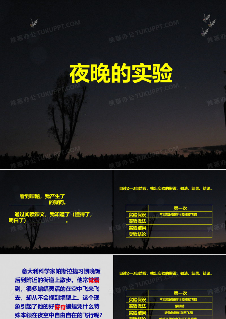夜晚的实验PPT课件